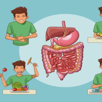 Giáo án Tự nhiên và xã hội 3 Bài 24: Thực hành tìm hiểu chất và hoạt động có hại cho cơ quan tiêu hóa, tuần hoàn, thần kinh