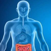 Giáo án Tự nhiên và xã hội 3 Bài 25: Ôn tập chủ đề con người và sức khỏe