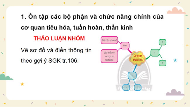 PowerPoint Tự nhiên và xã hội 3 Bài 25: Ôn tập chủ đề con người và sức khỏe