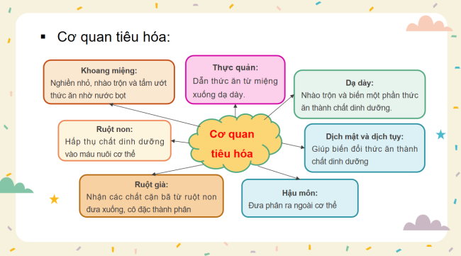 PowerPoint Tự nhiên và xã hội 3 Bài 25: Ôn tập chủ đề con người và sức khỏe