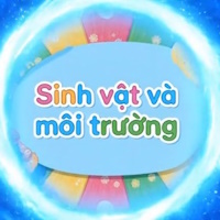 Video mở đầu khởi động Khoa học 4 Bài 31: Ôn tập chủ đề sinh vật và môi trường (AI)