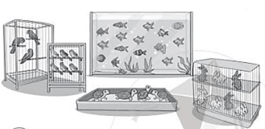 Vở bài tập Toán lớp 2 Bài 98: Ôn tập về một số yếu tố thống kê và xác suất (trang 99) | Cánh diều