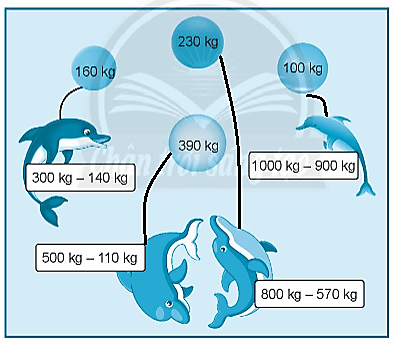 Giải vở bài tập Toán lớp 2 Ôn tập hình học và đo lường (trang 118) - Chân trời sáng tạo