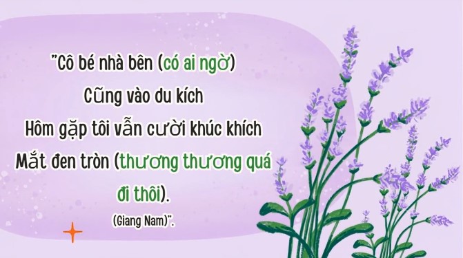 video van 10 bai 8 thtv ctst3*918396