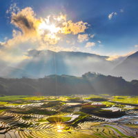 Giáo án Đạo đức 3 Bài 12: Việt Nam tươi đẹp