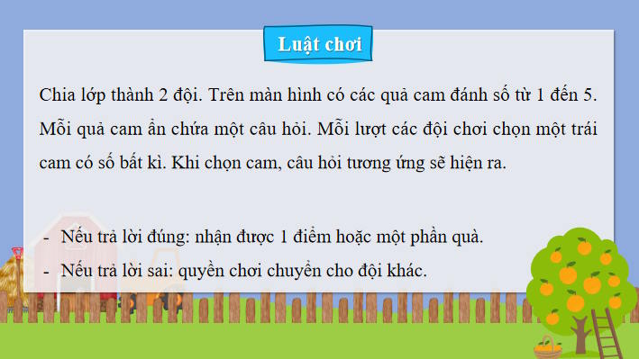 Luyen tap trang 55 2*919886