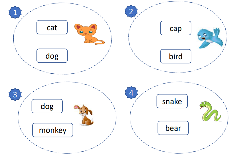 Đề kiểm tra học kì 2 môn Tiếng Anh lớp 1 minh họa 3