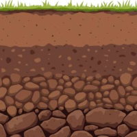 Giáo án Địa lí 6 Bài 19: Lớp đất và các nhân tố hình thành đất. Một số nhóm đất điển hình