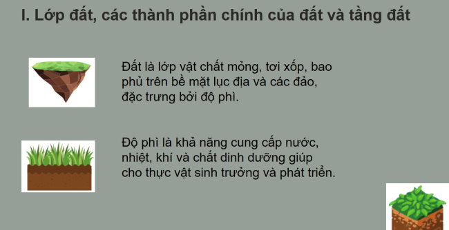 PowerPoint Địa lí 6 Bài 19: Lớp đất và các nhân tố hình thành đất. Một số nhóm đất điển hình
