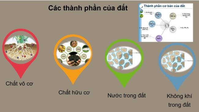PowerPoint Địa lí 6 Bài 19: Lớp đất và các nhân tố hình thành đất. Một số nhóm đất điển hình