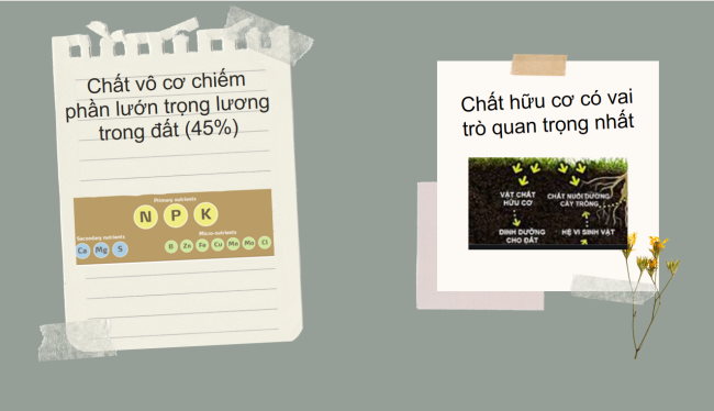 PowerPoint Địa lí 6 Bài 19: Lớp đất và các nhân tố hình thành đất. Một số nhóm đất điển hình