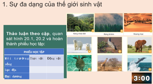 PowerPoint Địa lí 6 Bài 20: Sinh vật và sự phân bố các đới thiên nhiên. Rừng nhiệt đới