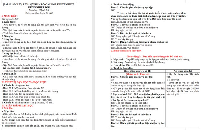 Giáo án Địa lí 6 Bài 20: Sinh vật và sự phân bố các đới thiên nhiên. Rừng nhiệt đới