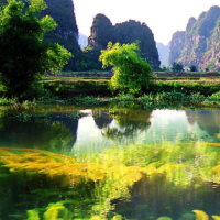 Giáo án Địa lí 6 Bài 21: Thực hành tìm hiểu môi trường tự nhiên qua tài liệu và tham quan địa phương