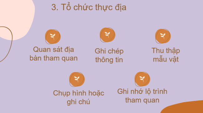PowerPoint Địa lí 6 Bài 24: Thực hành tác động của con người đến thiên nhiên