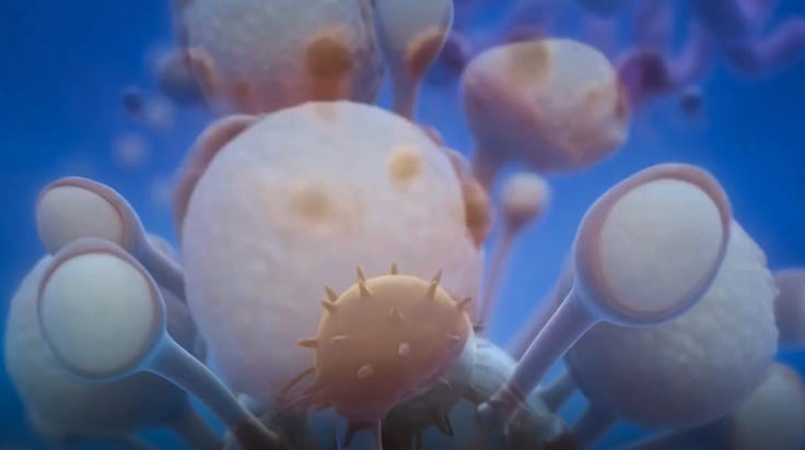 Sinh 10 Bai 20 3*920998