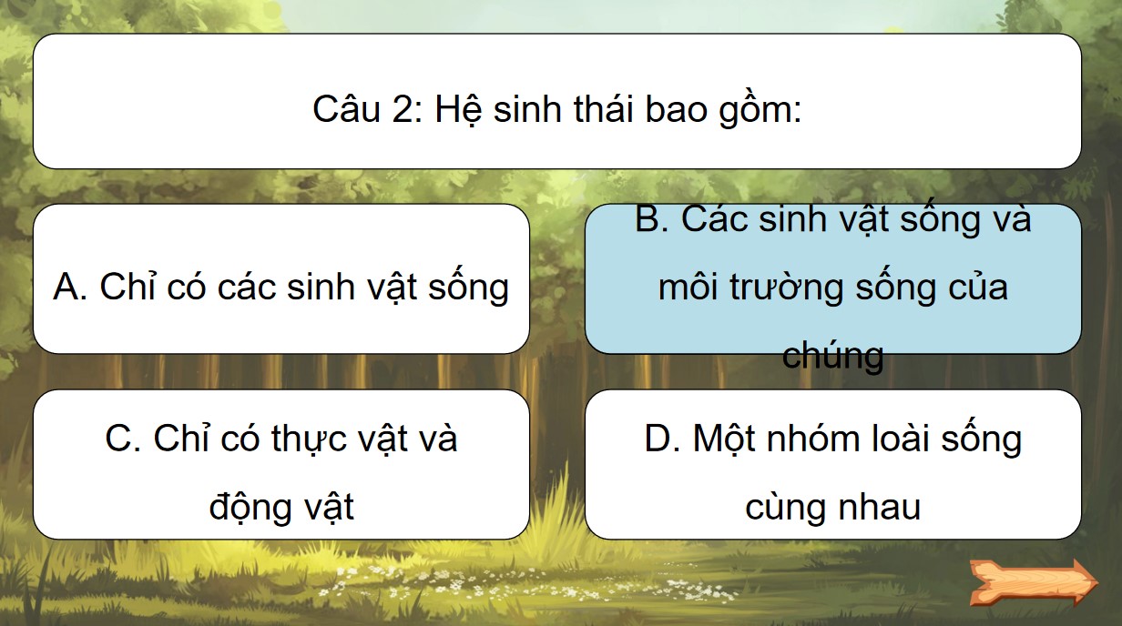 tro choi khtn 8 bai 44 4*922581