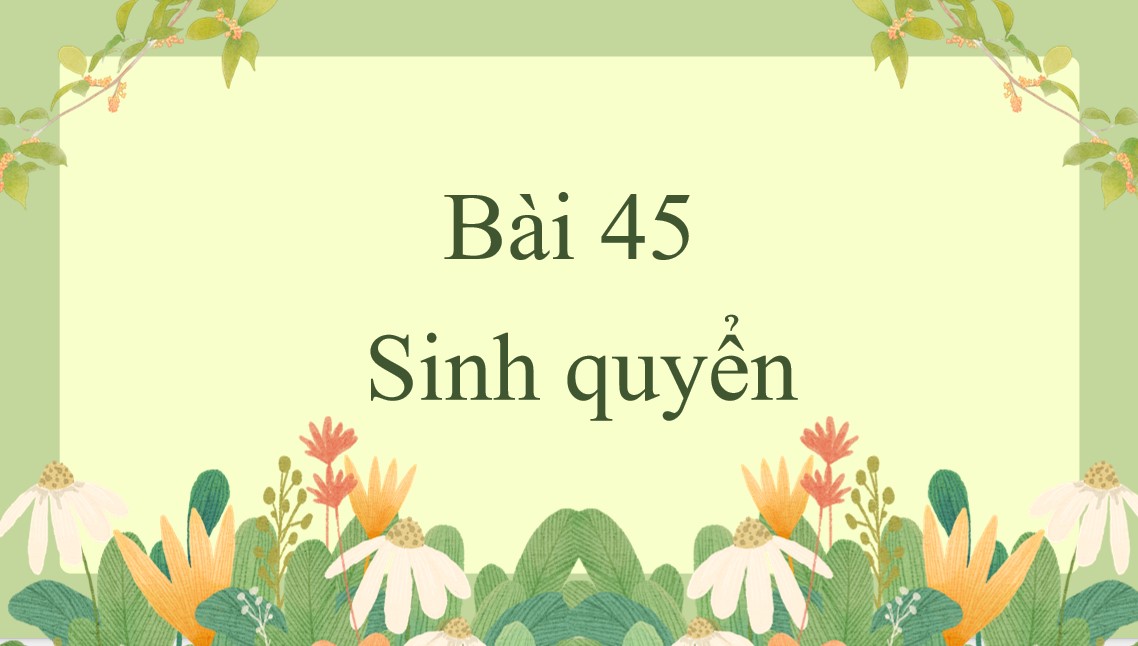 tro choi khtn 8 bai 45*922620