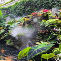 Giáo án Địa lí 6 Bài 22: Sự đa dạng của thế giới sinh vật. Các đới thiên nhiên trên Trái Đất. Rừng nhiệt đới