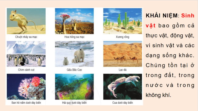 Dia li 6 Bai 22 6*926212