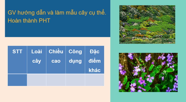 Dia li 6 Bai 23 6*926218