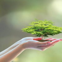 Giáo án Địa lí 6 Bài 25: Con người và thiên nhiên