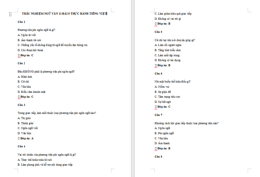 Thực hành tiếng Việt