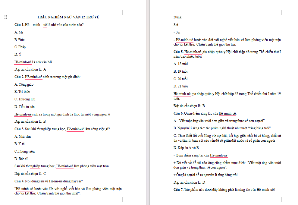 Trắc nghiệm Ngữ văn 12 Bài 9: Trở về