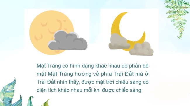 KHTN 6 Bai 44 3*928515