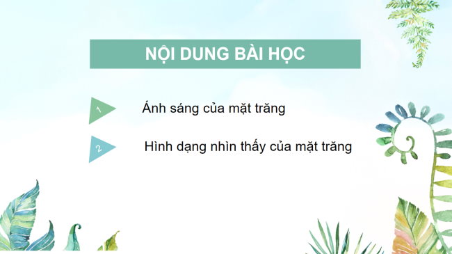 KHTN 6 Bai 44 5*928516