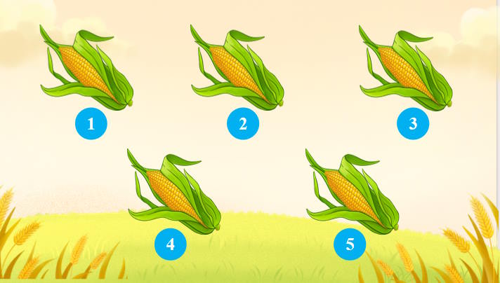 Dia-li-9-Bai-17-3*928842