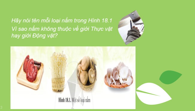 KHTN 6 Bai 18 3*928936