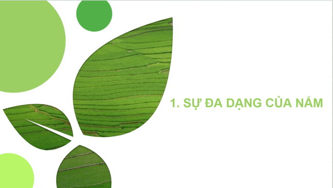 KHTN 6 Bai 18 5*928939