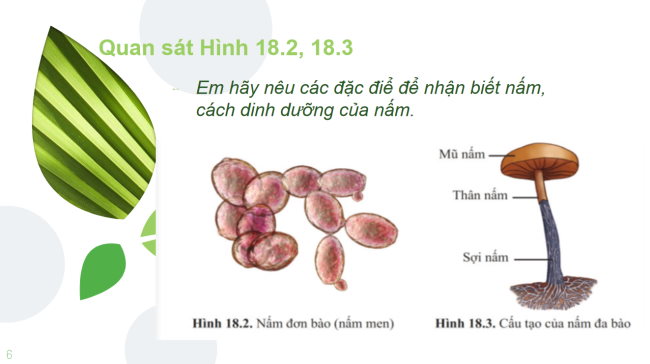 KHTN 6 Bai 18 6*928940