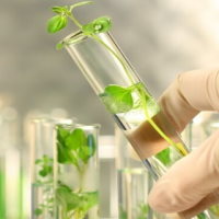 Giáo án Khoa học tự nhiên 6 Bài 19: Đa dạng thực vật