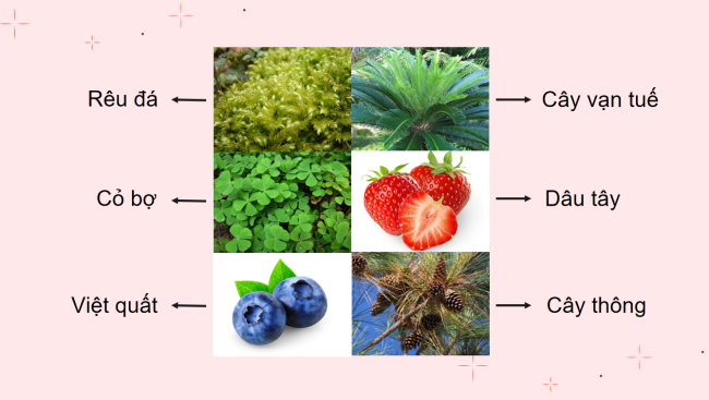 KHTN 6 Bai 19 3*928949