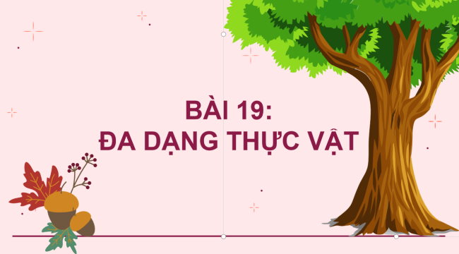 KHTN 6 Bai 19 4*928944