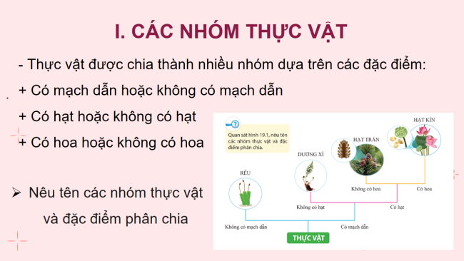 KHTN 6 Bai 19 6*928947