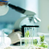 Giáo án Khoa học tự nhiên 6 Bài 20: Vai trò của thực vật trong đời sống và trong tự nhiên