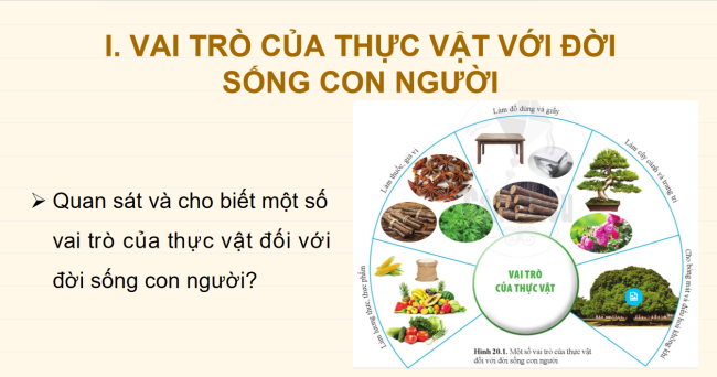 KHTN 6 Bai 20 5*928954