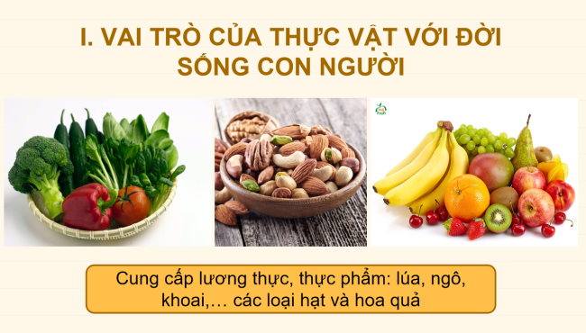 KHTN 6 Bai 20 6*928955