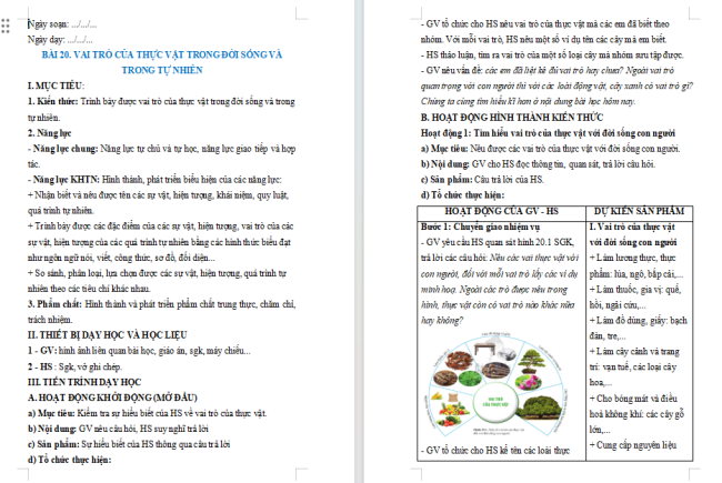 Giáo án KHTN 6 Bài 20: Vai trò của thực vật trong đời sống và trong tự nhiên