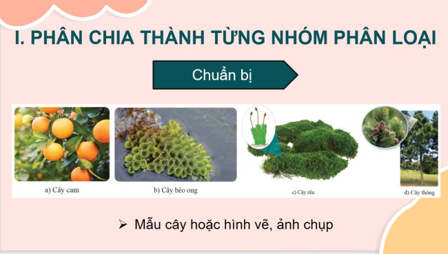 KHTN 6 Bai 21 5*928959