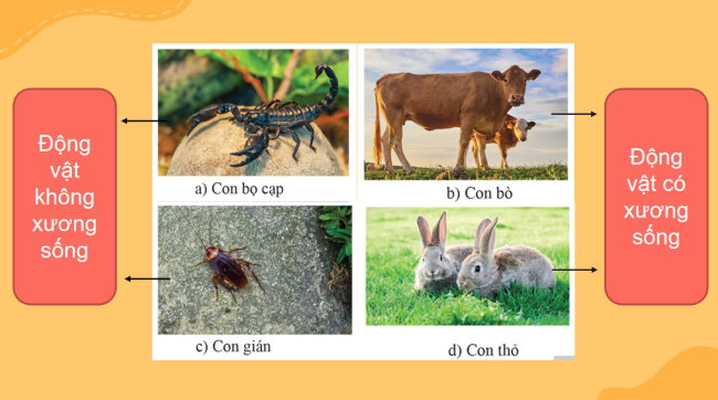 KHTN 6 Bai 23 3*928974