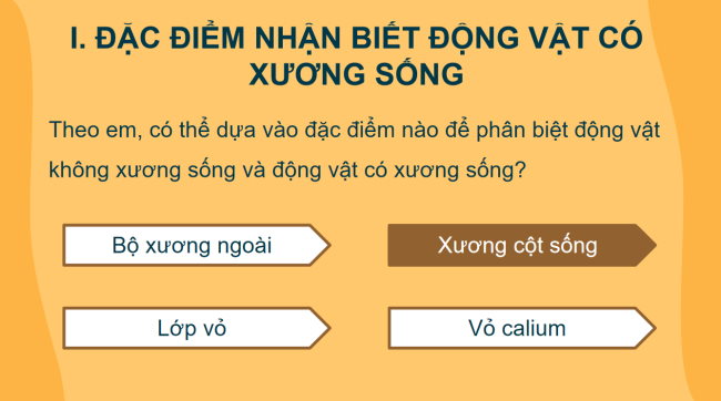 KHTN 6 Bai 23 6*928975