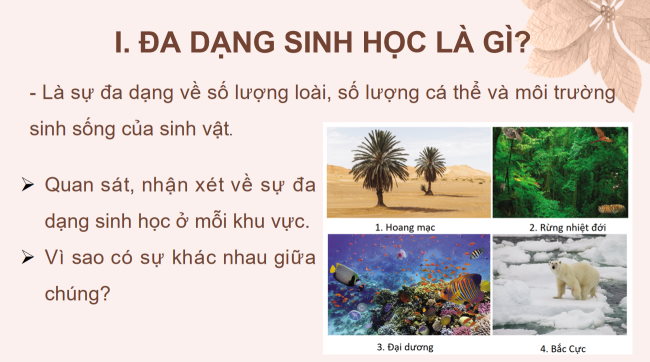 KHTN 6 Bai 24 6*928984