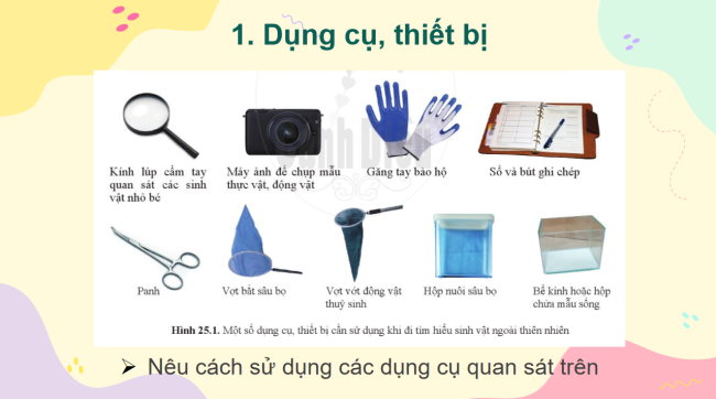 KHTN 6 Bai 25 6*928988