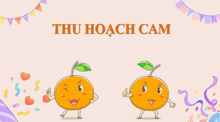 Mi-thuat-7-Bai-13 1*929217