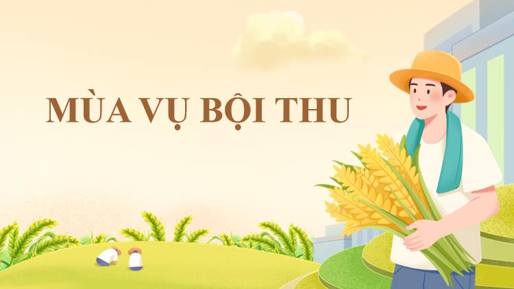 Bộ trò chơi khởi động Lịch sử 10 Kết nối tri thức