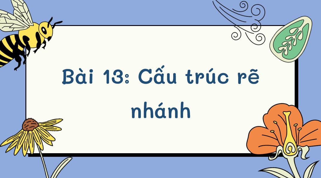 tro choi tin 5 bai 13*929596